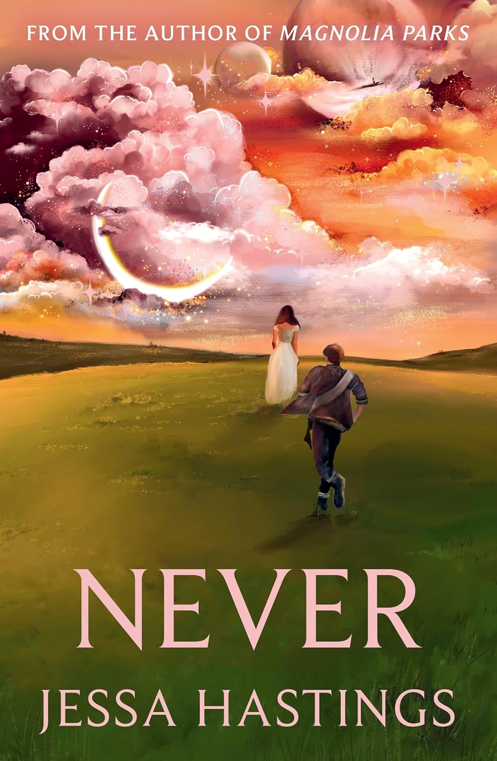 Never by Jessa Hastings • Never: Book 1 of 1