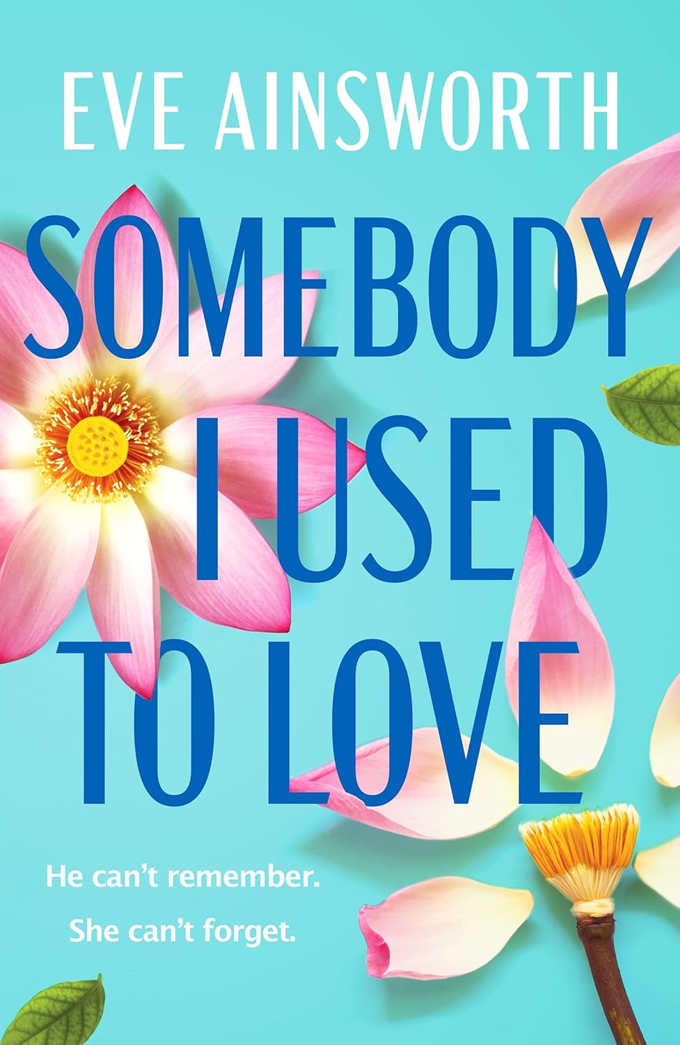 Somebody I Used To Love by Eve Ainsworth